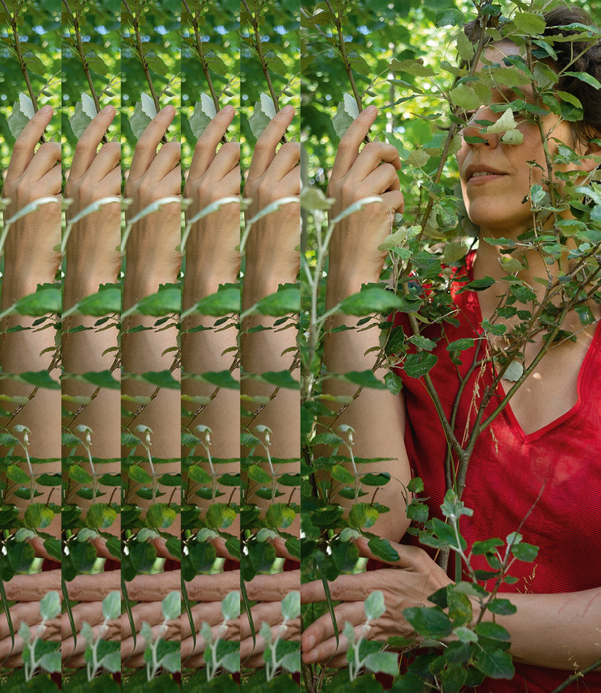 akseli_aitomäkki_2022