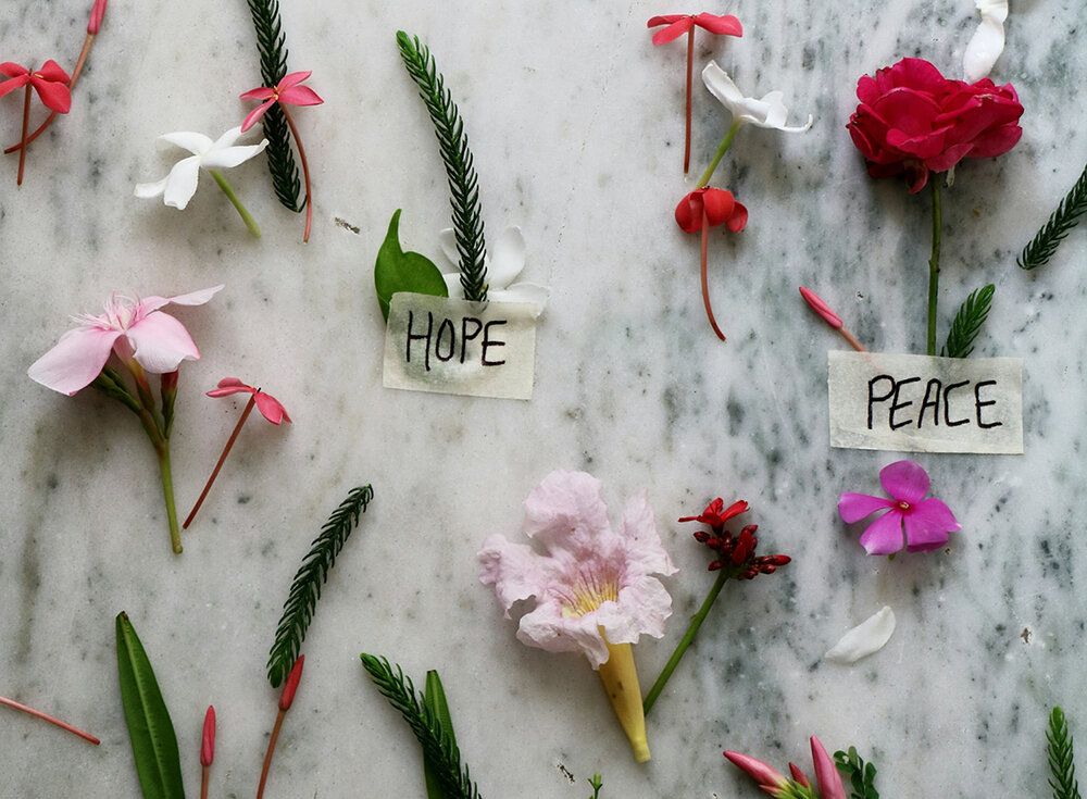 blumen_hoffnung_frieden